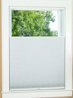 Top Down Bottom Up Blackout Cordless Cellular Shade