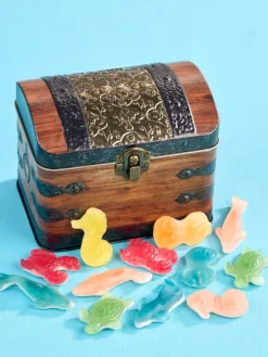 Treasure Chest Tin With Under the Sea Fruity Gummies