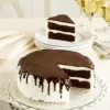 Two-Layer Chocolate and Coconut Cake