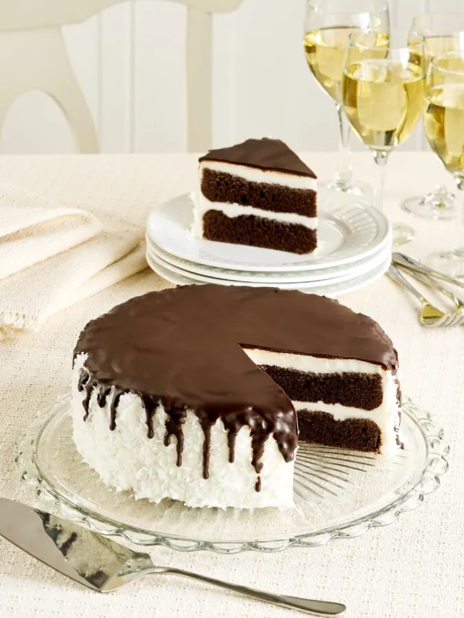 Two-Layer Chocolate and Coconut Cake