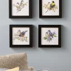 Vermont Songbird Art Collection, Set of 4 Prints