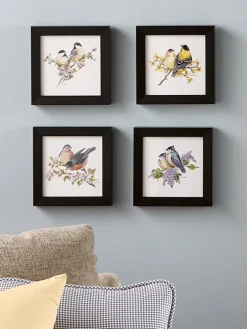 Vermont Songbird Art Collection, Set of 4 Prints