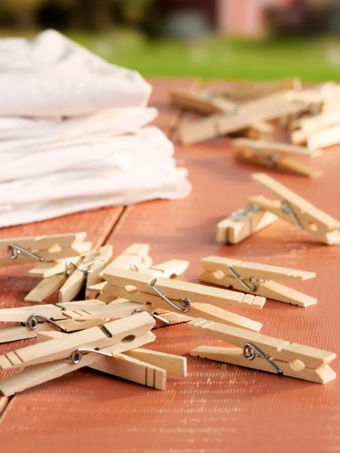 Wooden Spring Clothespins, Set of 100