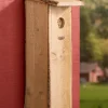 Woodpecker Nest Box