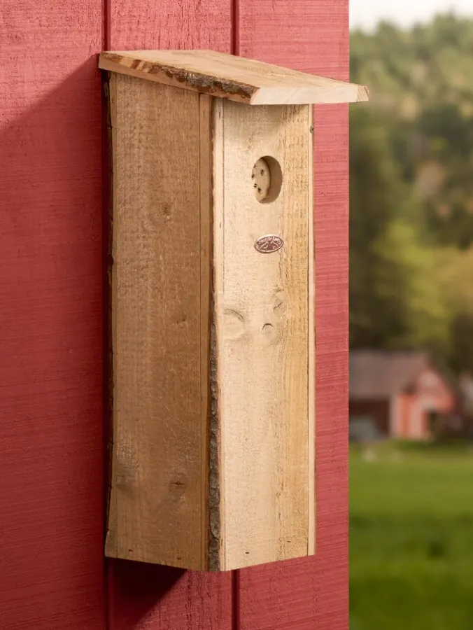 Woodpecker Nest Box